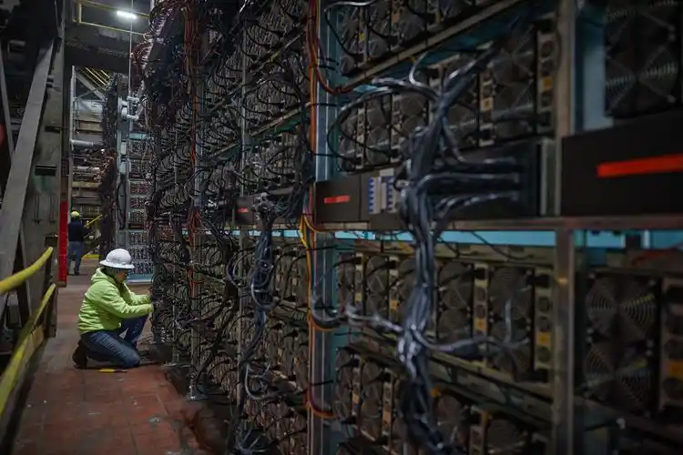 A large mining farm setup with multiple rigs