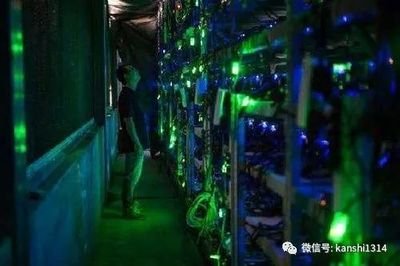A bustling mining farm in Japan optimized for ASIC hosting and efficiency