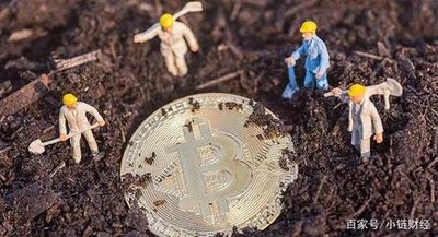 Modern mining farm in Argentina hosting diverse cryptocurrency miners