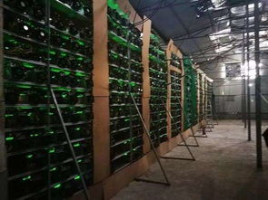 A technician working on a disassembled GPU mining rig, showcasing the complexity of maintenance
