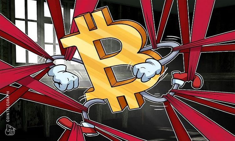 HexaMiner Bitcoin and Dogecoin mining pool dashboard in Paris